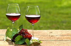 Wino