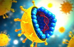 Wirus HCV