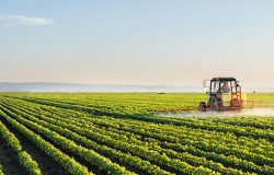Wyjazd na Forum Rolnicze "AgroVin 2017" - 11-14 października 2017, Winnica, Ukraina