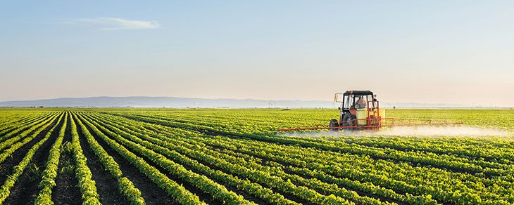 Wyjazd na Forum Rolnicze "AgroVin 2017" - 11-14 października 2017, Winnica, Ukraina