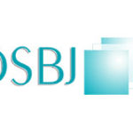 DSBJ Group