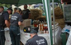 Nalot Służby Celnej na Festiwal Smaku w Grucznie
