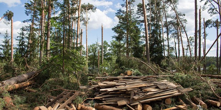 Straty po nawałnicach