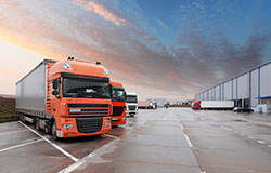 Ciężarówki, foto: AFF Link