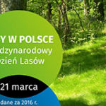 Infografika - Lasy w Polsce