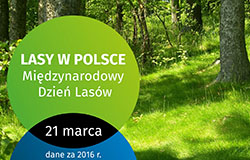 Infografika - Lasy w Polsce