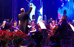 Arena Festival film&music