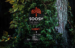SOOSH