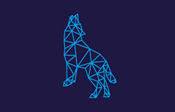 Wolves Summit