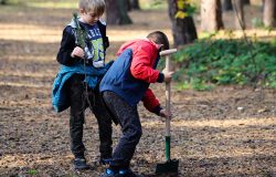 Łebianie sadzili drzewa dla przyszłych pokoleń