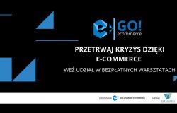 Go! e-Commerce - dla przedsiębiorców w kryzysie