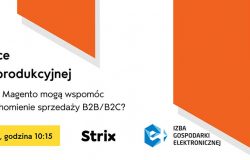 E-commerce w branży produkcyjnej - webinar pod patronatem merytorycznym e-Izby