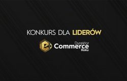 Dyrektor e-Commerce Roku