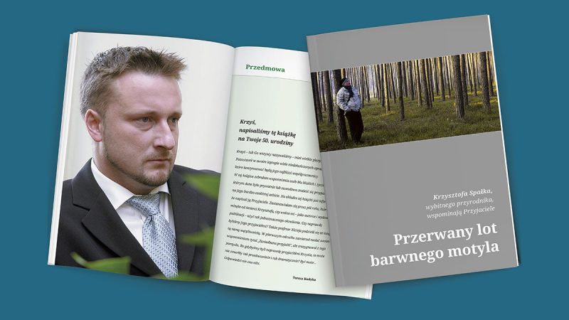 Przerwany lot barwnego motyla