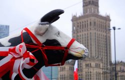 Manifestacja rolników w Warszawie