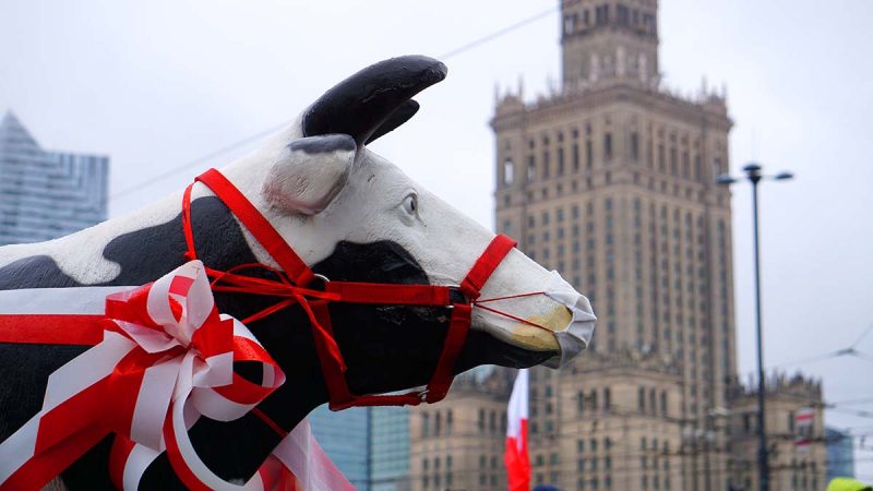 Manifestacja rolników w Warszawie