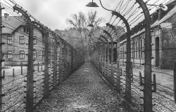 Auschwitz