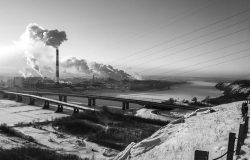 Carbon Capture and Utilisation