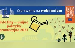Info Day
