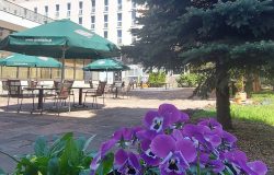 PATIO Zielony Zakątek