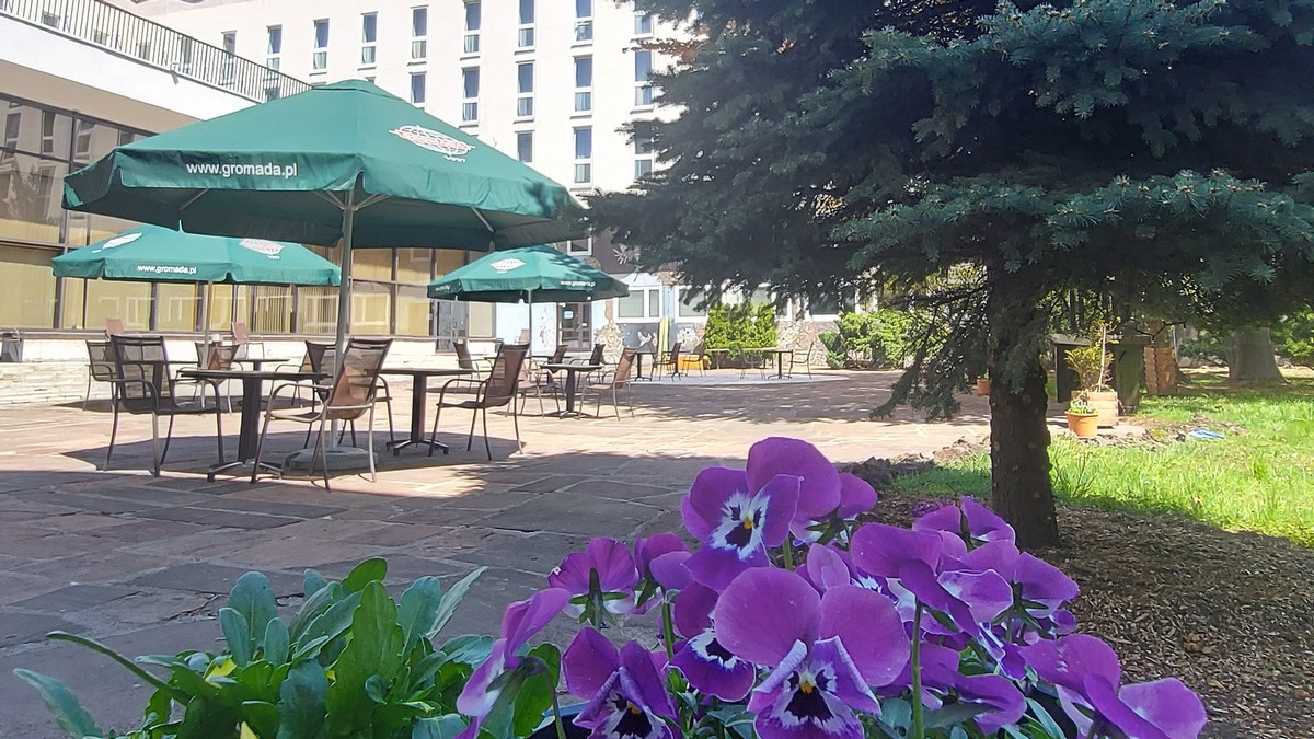 PATIO Zielony Zakątek