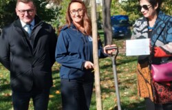 Akcja zarządu PKiN pod hasłem „Zapuść korzenie w sercu miasta”, 10 października 2022 r. Fot. Katarzyna Kaczmarska